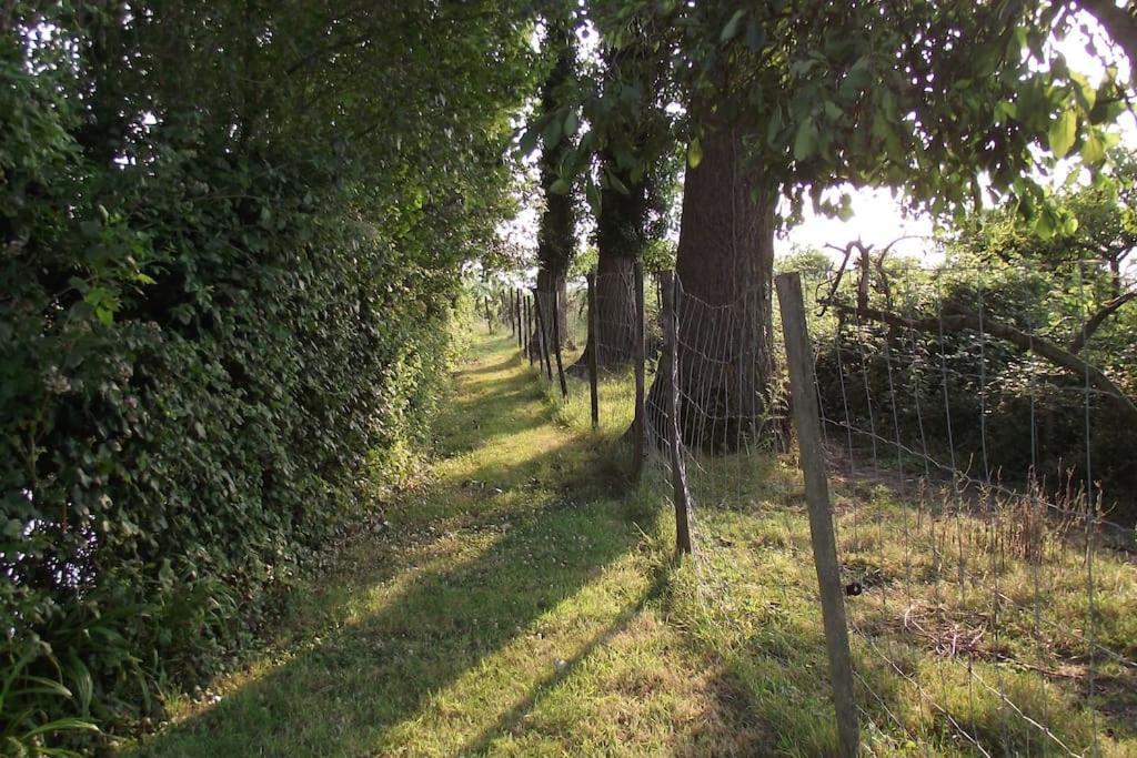 Villa Au Pied Du Frene Herzeele Esterno foto